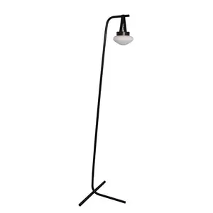 Оптовая продажа, Современный дизайнерский напольный светильник в скандинавском стиле, напольный светильник для спальни, гостиной, индивидуального кабинета, напольный светильник