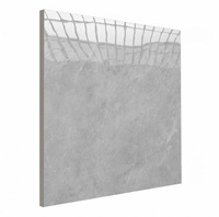 Carrelage de sol en céramique brillant antibactérien de haute qualité 800x800mm