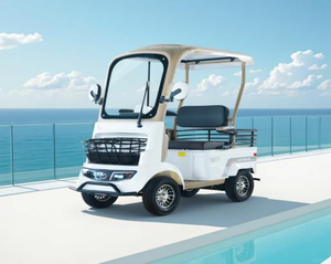 Xe điện 4 bánh giải trí 650W Motor 3 chỗ với lưu trữ - Product Image 3