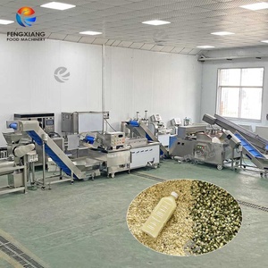 Machine industrielle pour le dénoyautage, le traitement à l'eau chaude et l'extraction de jus des cerises, des prunes, des pruneaux, des groseilles indiennes et des Phyllanthus Emblica - Product Image 2