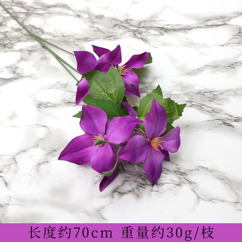 โคลเวอร์สี่แฉก