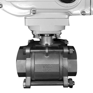Guangdong Magnesium Special Electric Ball Valve 1 In Threaded Stainless Steel 650 Psi Water Control - Product Image 3