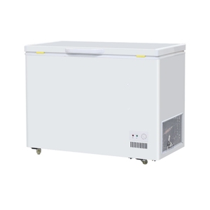 <span class=keywords><strong>Congélateur</strong></span> <span class=keywords><strong>horizontal</strong></span> commercial de bonne qualité, petit et profond - Product Image 1