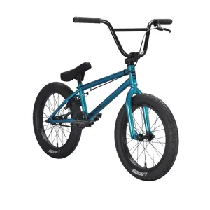 Funsea אופניים 18 אינץ אופניים עבור בנות בני ילדי BMX אופני פעלולים ילדים בגיל ההתבגרות ילד CPSC1512 EN16054 מבריק מבריק צבעים
