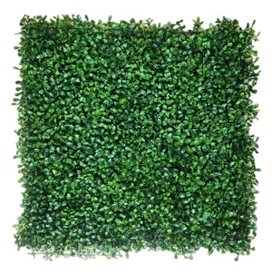 특별 제공 CAOP007 슈퍼 밀도 회양목 울타리 패널 가짜 식물 플라스틱 가짜 인공 회양목 울타리 벽 패널