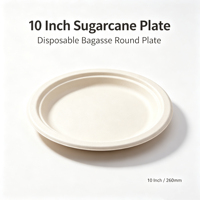 Assiettes rondes jetables en bagasse de canne à sucre de 10 pouces, résistantes, compatibles micro-ondes, pour fêtes, fabriquées en Chine