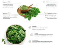 Agente de Dropshipping, Proveedor de Productos de Suplementos, Cápsulas de Hoja de Moringa - Suplemento Dietético (60 Cápsulas) para el Cuidado de la Salud