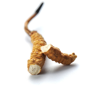 5000 pezzi per kg pure wild Nagqu Top grade <span class=keywords><strong>Cordyceps</strong></span> sinensis S size - Product Image 5