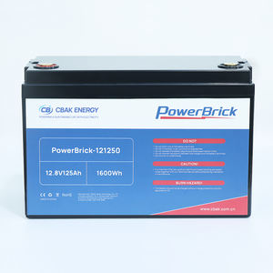 CBAK 12.8V 125Ah LiFePO4 液体電池モジュール 2000サイクル 高サイクル寿命 耐久性バッテリーパック -20～60℃ 121250 - Product Image 2