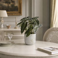 Mini pots de plantes décoratifs écologiques de luxe pour l'intérieur et l'extérieur, petits pots de bureau pour les succulentes, les cactus et les petites plantes d'intérieur