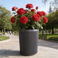 Jardinière sur pied en métal classique minimaliste de grande taille, personnalisable, avec revêtement en poudre, pour la maison, le jardin, l'hôtel, le centre commercial, l'extérieur