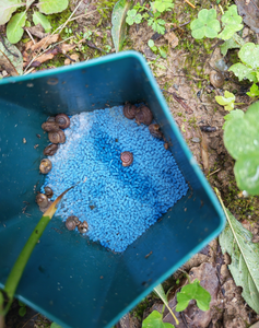 D455 Durable Anti-Snail Garden Snail <strong>Trap</strong> Manufacturer-Supplied Waterproof PP Material Cage for Vegetable Pest Control - Product Image 6