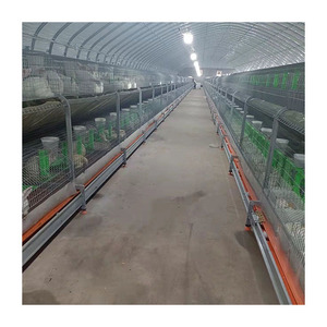 Gabbia per Conigli Facile da Pulire in Kenya con Vassoi in Plastica - Product Image 4