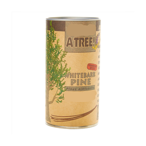 Kit d'outils de Noël à séquoia géant pour pots de fleurs et jardinières - Product Image 3