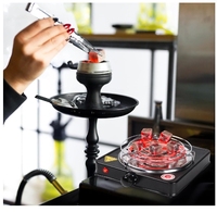 Brûleur à charbon électrique portable 110V 1000W de type droit en plastique, miroir, multifonctionnel, pour chicha, design écologique, USA
