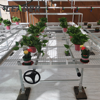Système de table de serre Support de culture Treillis Plateau de semis Banc roulant Table pour la culture des plantes