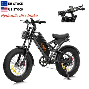 EU US Warehouse 750W 48V Fast Multifunction Folding Mountain Road Fat Tire Electric Bike