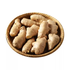 Radice di Zenzero Fresco Biologico Certificato |   Senza pesticidi |   Qualità Premium |   Cibo Pronto da Mangiare |   Prezzi all'Ingrosso di Fabbrica - Product Image 5