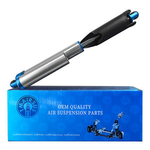 2010-2016 <span class=keywords><strong>Amortisseur</strong></span> de suspension pneumatique de voiture automatique de haute qualité ASH-24541 BL3Z18125J arrière pour F150 SVT Raptor STX XLT - Product Image 4