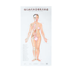 Carte murale moderne des points d'<span class=keywords><strong>acupuncture</strong></span> et des méridiens de Ren, diagramme des points d'<span class=keywords><strong>acupuncture</strong></span> et de l'<span class=keywords><strong>acupuncture</strong></span> corporelle - Product Image 6