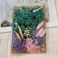 Große Umschläge von getrockneten konservierten Blumen Blumen für Kunst handwerk Kerzen seifen harz Füllung Hochzeits dekoration Blumen arrangement
