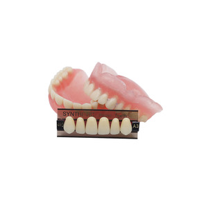 Prótesis Dentales Anteriores de Resina Acrílica de 2 Capas, <span class=keywords><strong>Dentadura</strong></span> <span class=keywords><strong>Superior</strong></span> e Inferior - Product Image 4