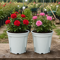 Pot de fleurs contemporain en PP, mignon, avec trou de drainage, léger et durable, pour usage intérieur/extérieur
