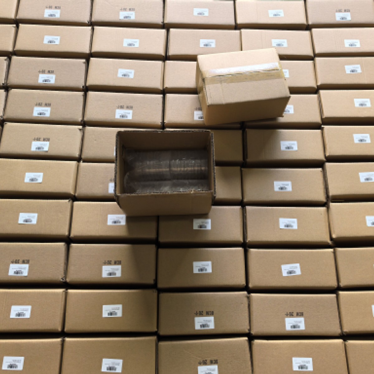 6 cm, 10 piezas por caja *Edición exclusiva de exportación