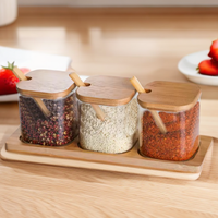 Pot à épices en verre borosilicate de haute qualité pour la cuisine, pot à épices avec cuillère en bois, 3 pièces, pots à épices