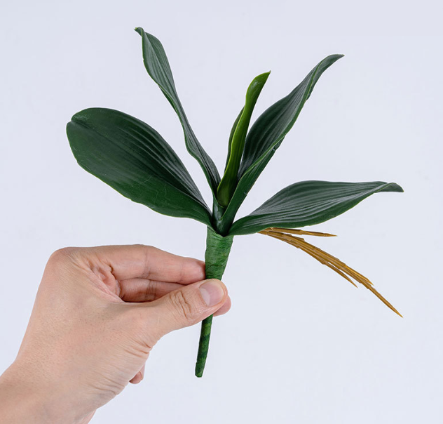 Grand-26cm-5 feuilles