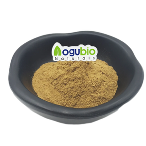 AOGUBIO kaynağı yüksek kaliteli kahve özü doğal toz yeşil kahve çekirdeği özütü klorojenik asit 50% - Product Image 2