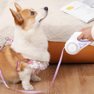 Laisse Rétractable Personnalisée pour Animaux de Compagnie, Luxe et Tendance, avec Lumières LED et Rubans, en Alliage, Nylon et ABS, pour Chiens, Vente en Gros, Nouveauté d'Usine - Product Image 6