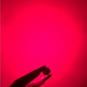 Chip đèn <span class=keywords><strong>LED</strong></span> phát sáng công suất cao XINGLIGHT chất lượng cao 1W 6000K 6500K 6070, đèn <span class=keywords><strong>LED</strong></span> trồng cây SMD trắng - Product Image 5