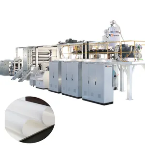 Polyethylene Anhydrous Synthetic Paper Making Machine Waterless Polypropylene Paper Making Extrusion Line