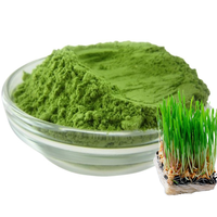 Poudre de jus d'herbe d'orge soluble dans l'eau, extrait d'herbe d'orge en poudre, poudre d'herbe d'orge