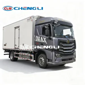 รถบรรทุกห้องเย็น HOWO 4X2 Sinotruk พร้อมตู้แช่แข็งสำหรับขนส่งไอศกรีม - Product Image 2