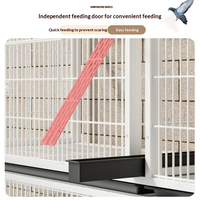 Cage d'élevage pour pigeons avec plateau en fer et plastique, sécurisée, pour intérieur et extérieur, anti-rongeurs, avec poulie, taille moyenne, cage pour animaux de compagnie