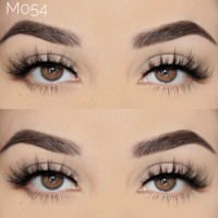Cils de vison 15mm cils de vison naturels cils de vison 3D faux cils naturels sans cruauté