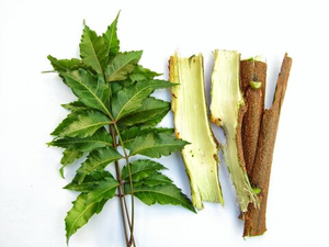 Extracto de Hoja y Corteza de Neem de Grado Alimenticio Premium, Azadirachta Indica, Extracto de Planta Botánica Herbal Pura, Polvo Natural Fino - Product Image 3