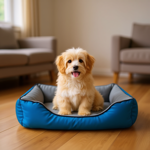 Set di Tre Pezzi in Velluto Cristallo e Tessuto Oxford Blu Cielo per Letti per Cani - Product Image 3