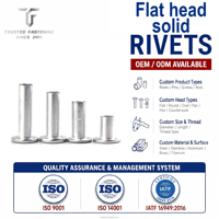 TianFang Rivets Pleins Tête Plate Fer Inox Nickelé Axe Joint Cadre Appareil SGS RoHS