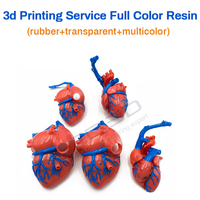 Service d'impression 3D couleur Stratasys PolyJet – Modèle médical personnalisé en matériaux mixtes pour la chirurgie orthopédique pulmonaire