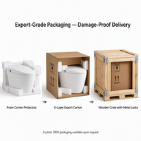 WC intelligent en céramique au design moderne, chasse d'eau à air comprimé, sans électricité, à siphon, monobloc, bidet, nettoyage des fesses, vente en gros