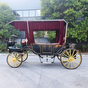Carruaje de Paseo Eléctrico Personalizado Estilo Cenicienta para Bodas, de Goma Sólida, para 6 Personas, Xuchang Zhenda, Inspirado en Antiguos Vehículos Chinos - Product Image 6