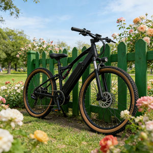 Vélo électrique 500W avec cadre en aluminium, pneus anti-crevaison de 29 <span class=keywords><strong>pouces</strong></span>, batterie 48V10.4AH20AH30AH, autonomie de 80 km, 3 modes de conduite, capacité de charge élevée - Product Image 2