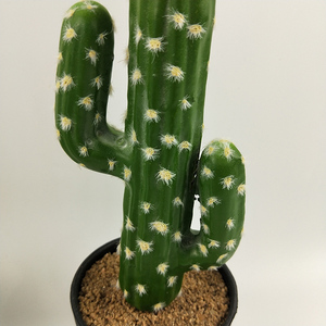 <span class=keywords><strong>Cactus</strong></span> artificiel en <span class=keywords><strong>pot</strong></span> à arrivée rapide, plante succulente de simulation, fausse plante verte d'intérieur en <span class=keywords><strong>pot</strong></span> <span class=keywords><strong>pour</strong></span> la maison, le bureau, la table - Product Image 5