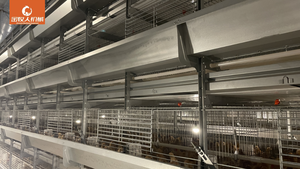 Cage d'élevage de volailles en acier galvanisé à chaud pour l'élevage de poulets à haute densité - Product Image 4