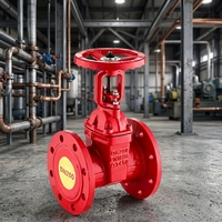 Katup Gerbang Api Batang Naik ZSZF4-Q-200-16-m dari Bahan Besi Cor Tahan Lama, Model Multi, Dapat Disesuaikan