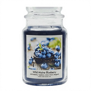Village Candle Wild Maine Blaubeere Paraffinwachs Große Glas-Apothekerglas-Duftkerze Dunkelblau Lufterfrischer Hergestellt in China - Product Image 1