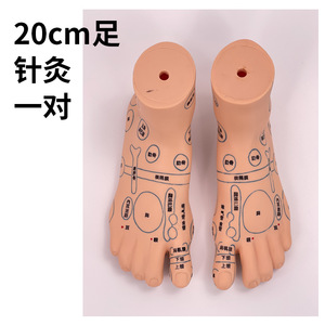 Modèle de réflexologie plantaire ultra-clair de 19 cm, modèle de pied pour l'enseignement de l'acupuncture et des points de massage. - Product Image 1